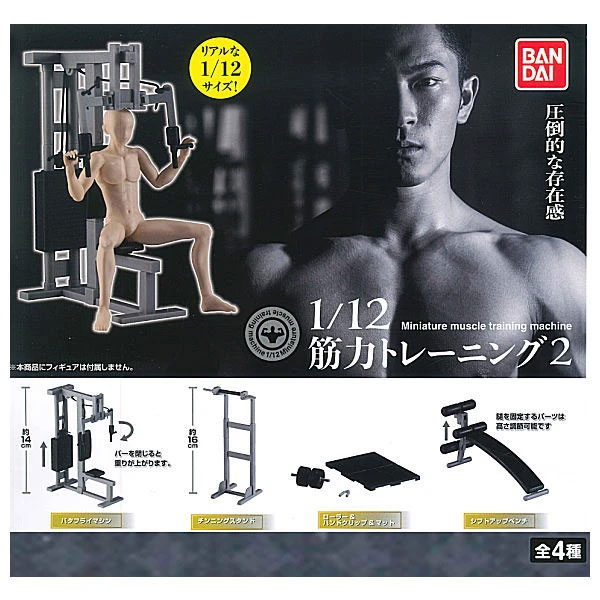 112 Scale Strength Training Exercise Equipment Mini Figure Collection  Complete Set of 4