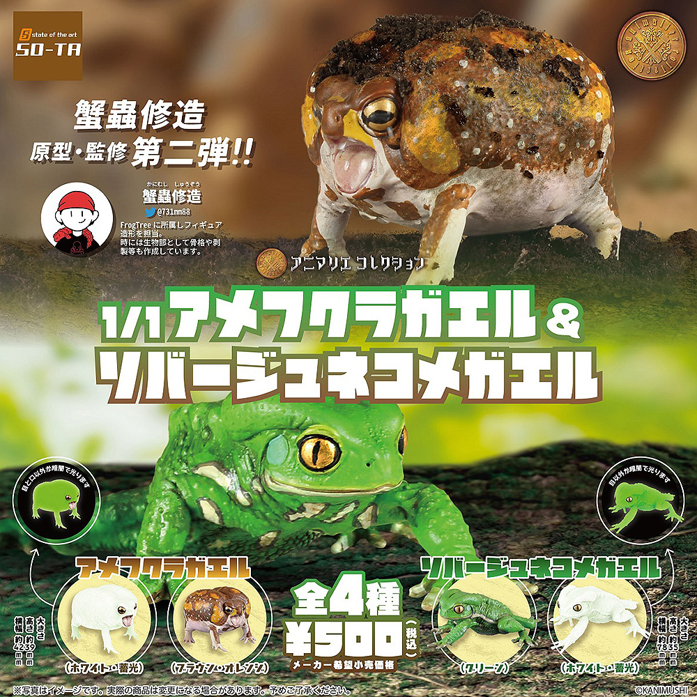 1/1 Scale Common Rain Frog & Waxy Monkey Tree Frog Figure Tesla